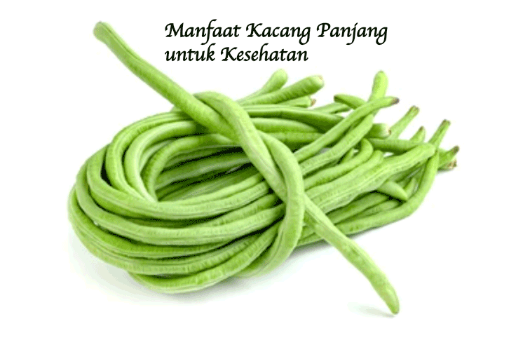 Manfaat Kacang Panjang Bagi Kesehatan Wanita yang Tak Boleh Diabaikan Manfaat Kacang Panjang Bagi Kesehatan Wanita yang Tak Boleh Diabaikan